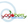 Yogo Berry Frozen Yogurt